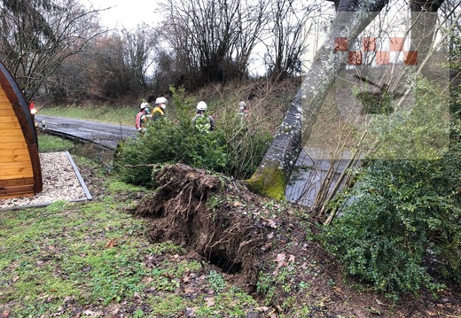 Feuerwehreinsatz wegen umgestürztem Baum März 2021