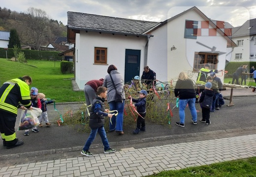 Maibaum wird gestellt und geschmückt April 2023.jpg