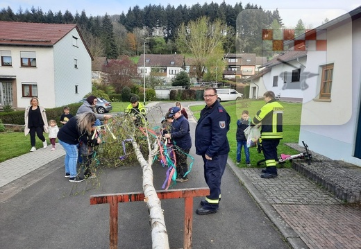 Maibaum wird gestellt und geschmückt April 2023 1.jpg