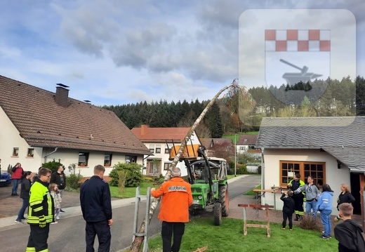 Maibaum wird gestellt und geschmückt April 2023 3.jpg